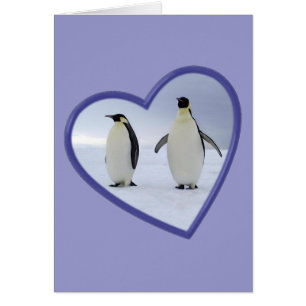 Pingouin d'empereur