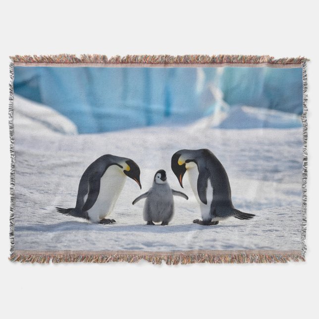 Pingouin Famille Jeu couverture (Devant)