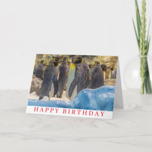 Pingouins à la carte d'anniversaire du zoo