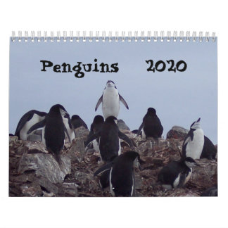 Pingouins - Calendrier 2020