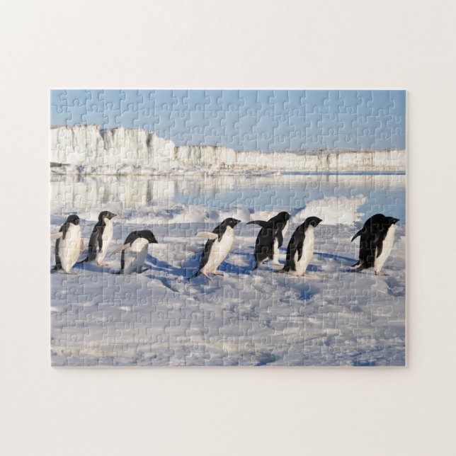 Pingouins Jeu Puzzle (Horizontal)