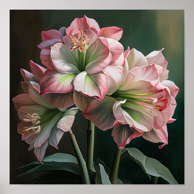 Pink Amaryllis Flower Art Imprimer Poster (Devant)