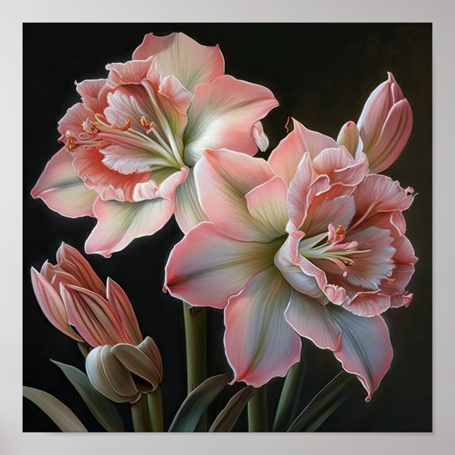 Pink Amaryllis Flower Art Imprimer Poster (Devant)