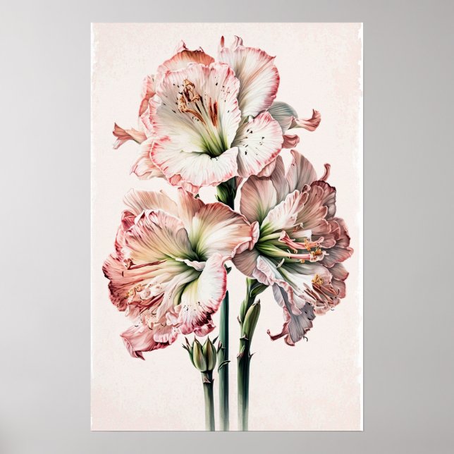 Pink Amaryllis Flower Art Imprimer Poster (Devant)