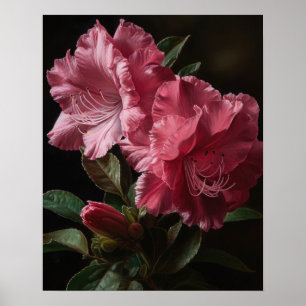 Pink Azalea Flowers Art Imprimer Poster
