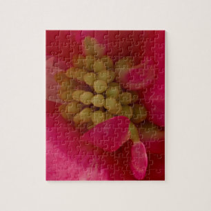 Pink Begonia Stamen Macro Puzzle