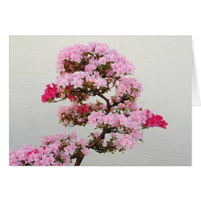 Pink Bonsai Tree (Devant horizontal)