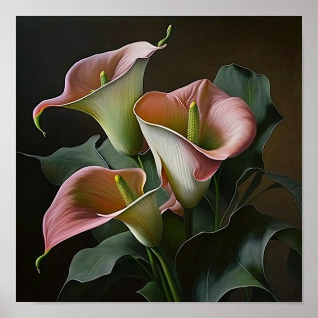Pink Calla Lilies Lily Flower Art Imprimer Poster (Devant)