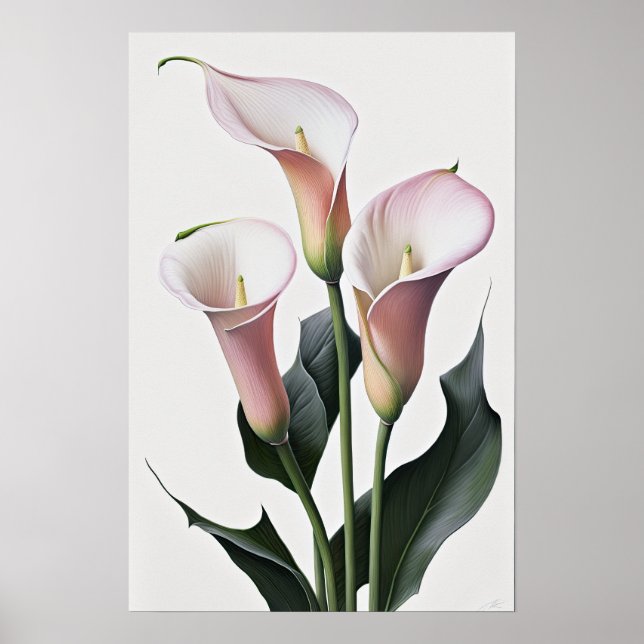 Pink Calla Lilies Lily Flower Art Imprimer Poster (Devant)