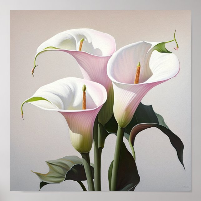 Pink Calla Lilies Lily Flower Art Imprimer Poster (Devant)
