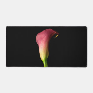 Pink Calla Lily Elégante Photo Arrière - plan noir