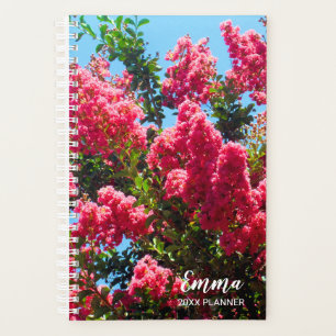 Pink Crape Myrtle Tree Flowers Photographie