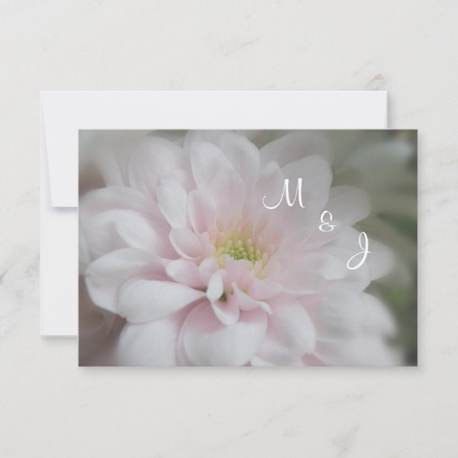 Pink Daisy Mum Mariage Réponse carte RSVP (Devant)