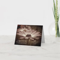 pink daisy sympathie merci