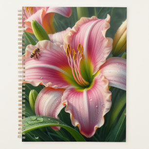Pink Daylily Floral
