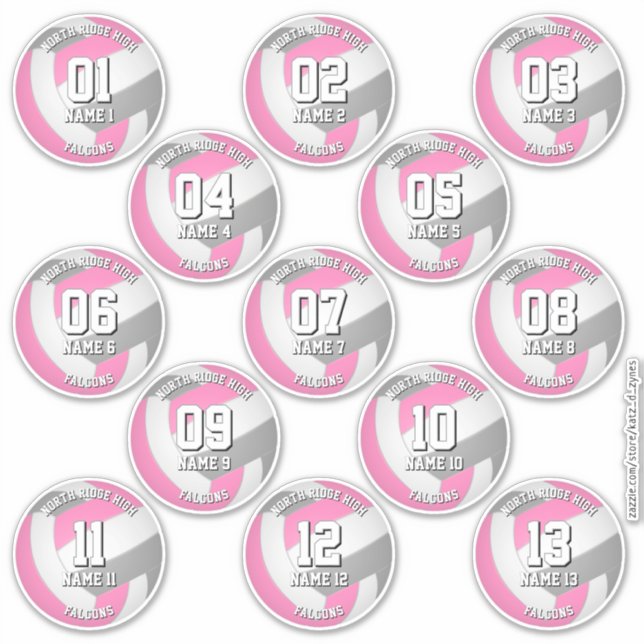 pink gray volleyball team stickers 13 athletes (Devant)