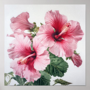 Pink Hibiscus Flower Art Imprimer Poster