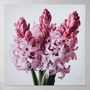 Pink Hyacinth Flower Art Imprimer Poster