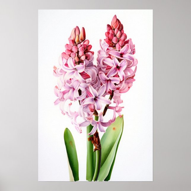 Pink Hyacinth Flower Art Imprimer Poster (Devant)