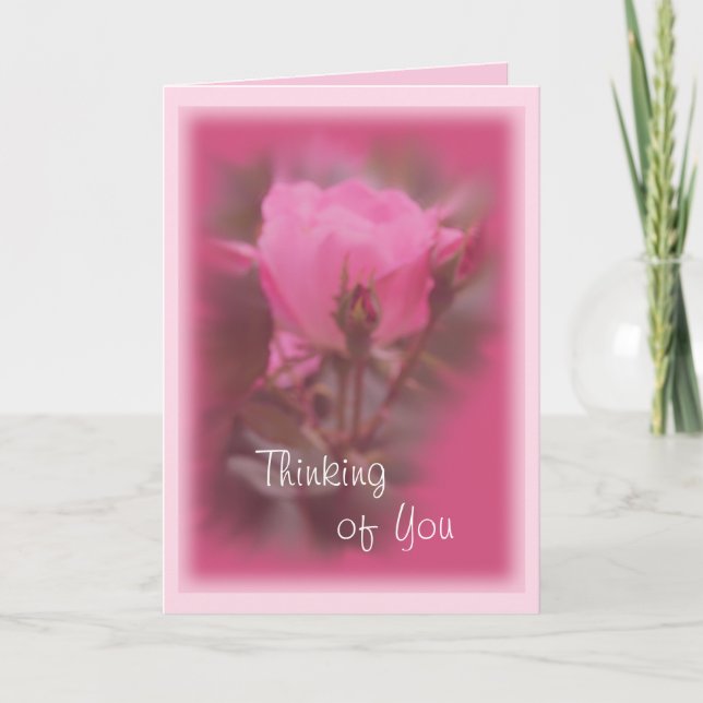 Pink Knockout carte Rose - toute occasion (Devant)