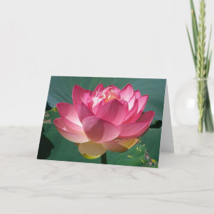 Pink Lotus - Carte de voeux
