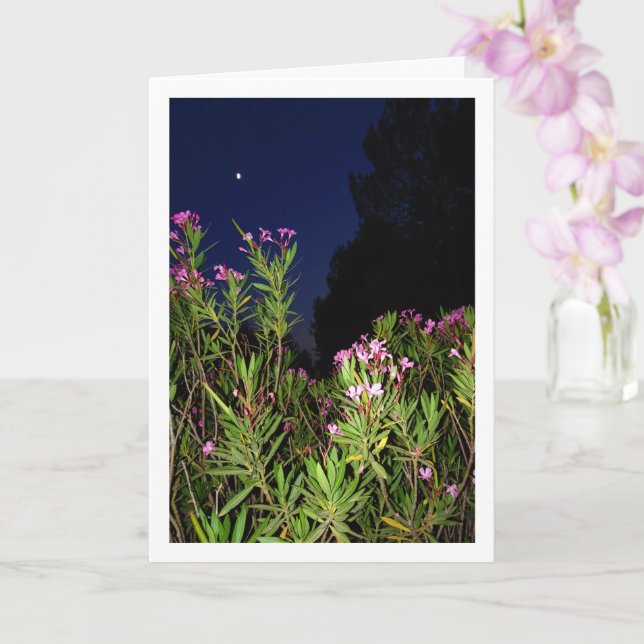 Pink Oleander à la carte de nuit (Orchidée)