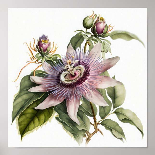Pink Passion Flower Art Imprimer Poster (Devant)