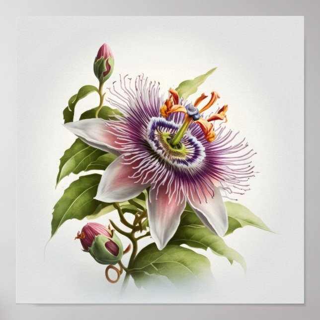 Pink Passion Flower Art Imprimer Poster (Devant)
