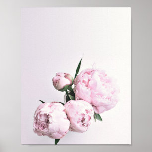 Pink Peony Art, Impression Rose, Poster rose Flowe