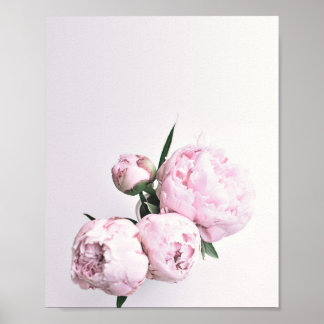 Pink Peony Art, Impression Rose, Poster rose Flowe