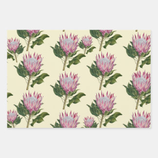 Pink Protea Papier cadeau 3 Jeux de jeux