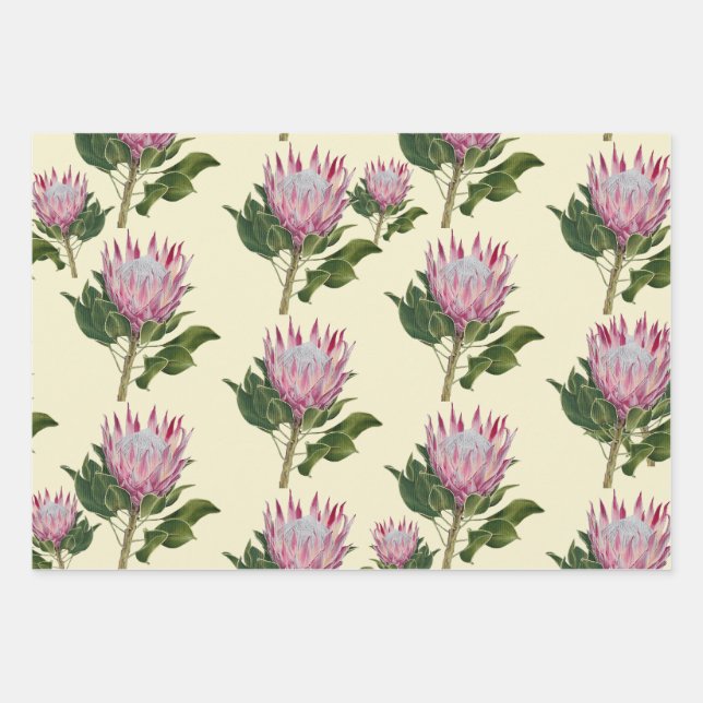Pink Protea Papier cadeau 3 Jeux de jeux (Devant)