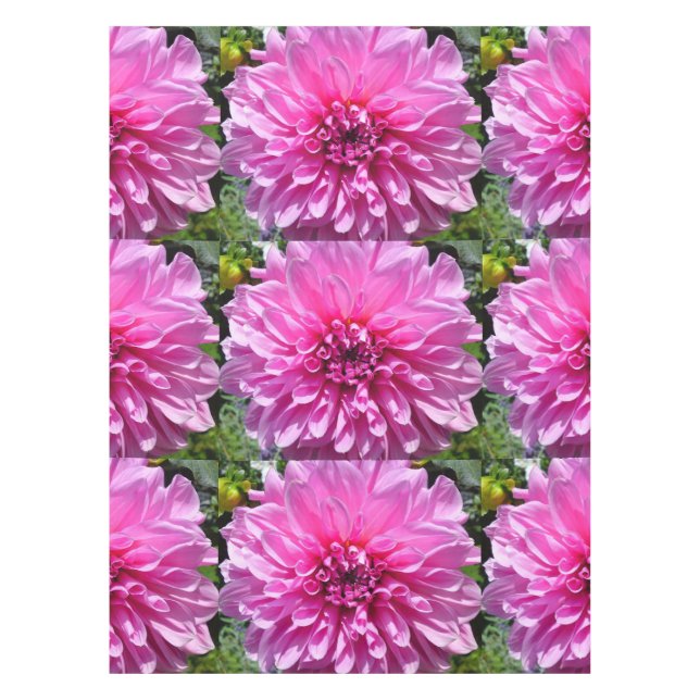 Pink Purple Dhalia Nappe (Devant)