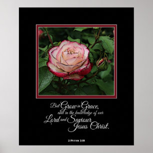 Pink Rose Bible Verset Oeuvre Mur Art / Poster