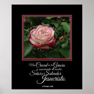 Pink Rose Espagnol Bible Verset Artwork Poster