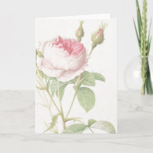 Pink Rose Rose Pierre-Joseph Redoute Carte de voeu