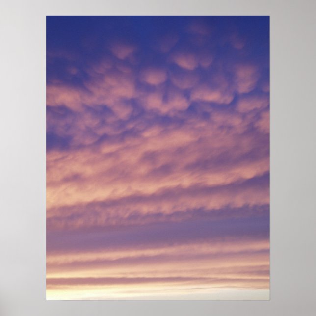 Pink Sky Poster Print (Devant)