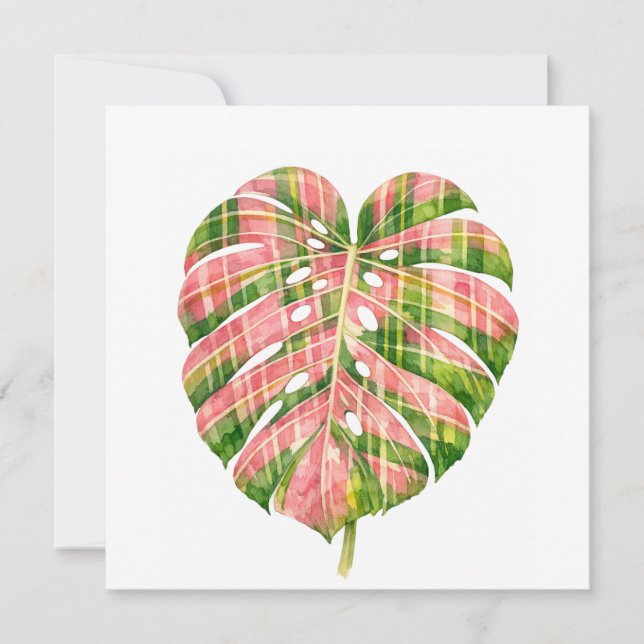 Pink Tartan Scottish Monstera Watercolour Botanic (Devant)