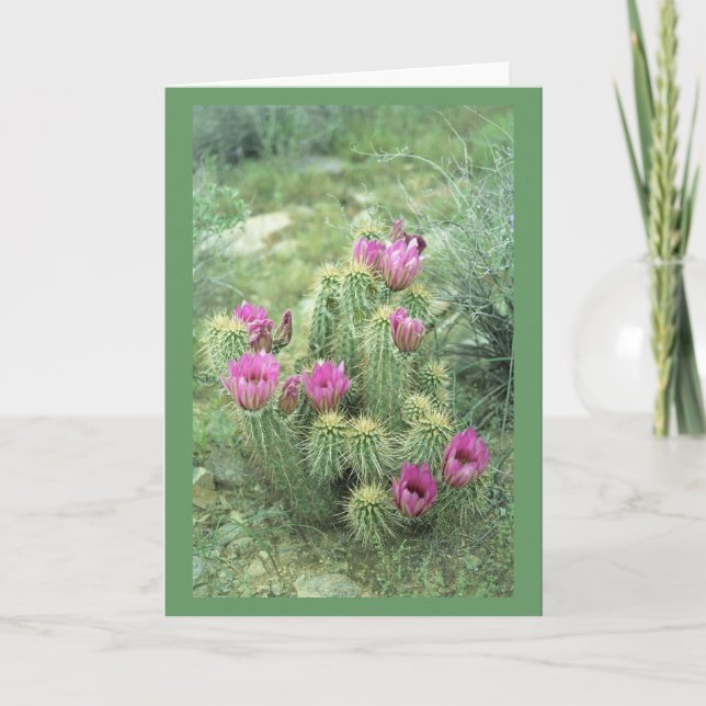 Pink Trill Desert Cactus Salutation ou cartes de n (Devant)
