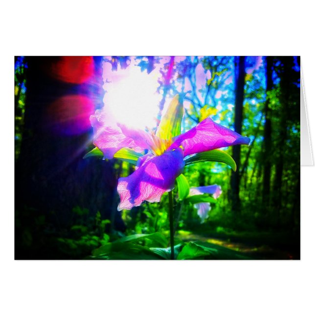 PINK TRILLIUM GREETING CARD (Devant Horizontal)
