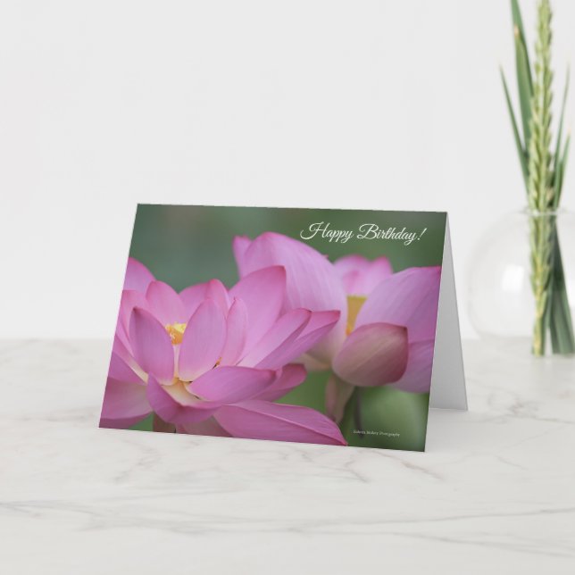 Pink Water Lilies Carte d'anniversaire (Devant)