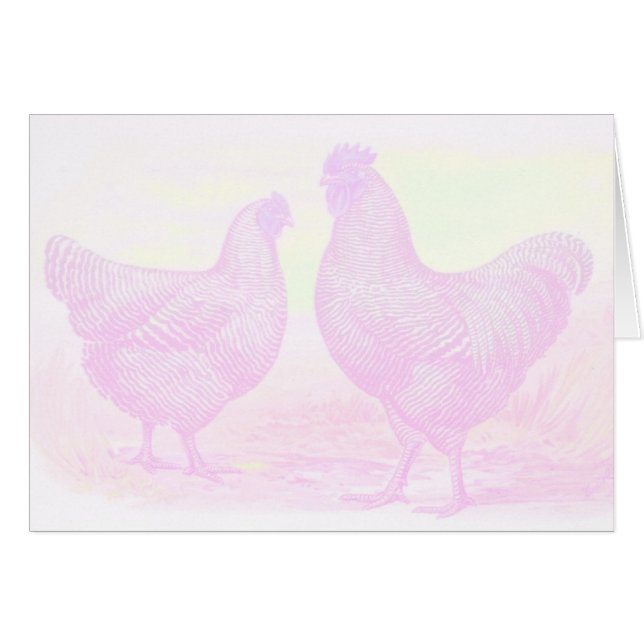 PinkFoam (Devant horizontal)