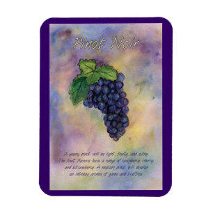 Pinot Noir Vin Raisins Peinture Art Magnet