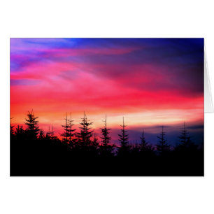 Pins Sous Le Coucher De Soleil De L'Oregon