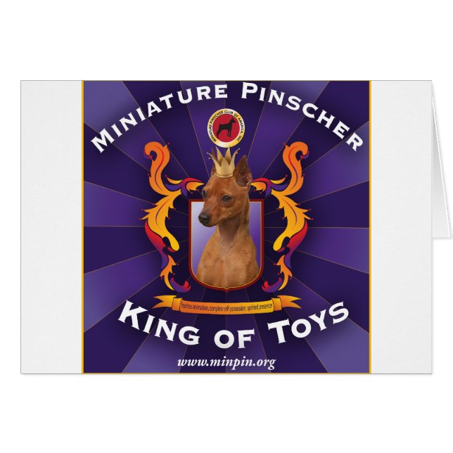 Pinscher miniature : Roi des jouets (Devant horizontal)