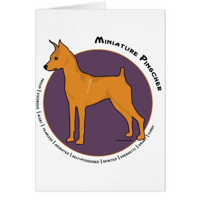 Pinscher miniature, rouge de mâle (Devant)