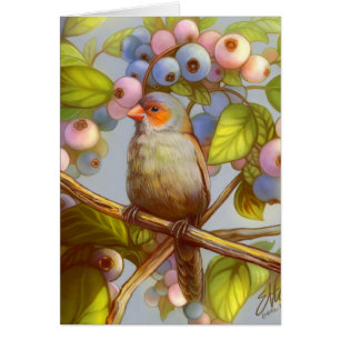 Pinson de waxbill cheeked par orange avec des