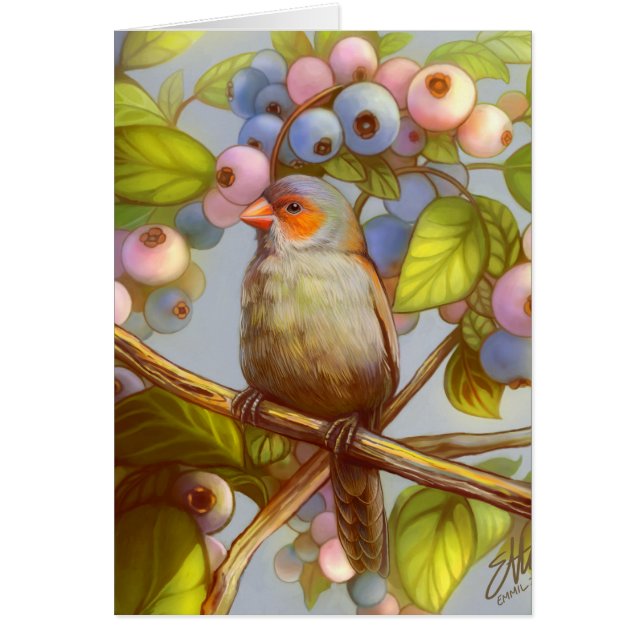 Pinson de waxbill cheeked par orange avec des (Devant)