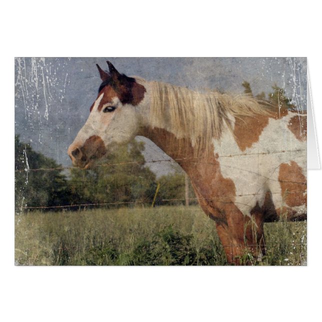Pinto Horse Grunge (Devant horizontal)