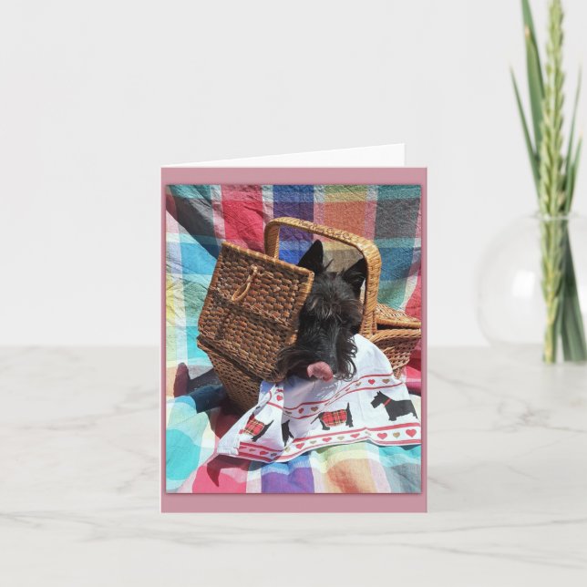 Pique-nique (Devant)